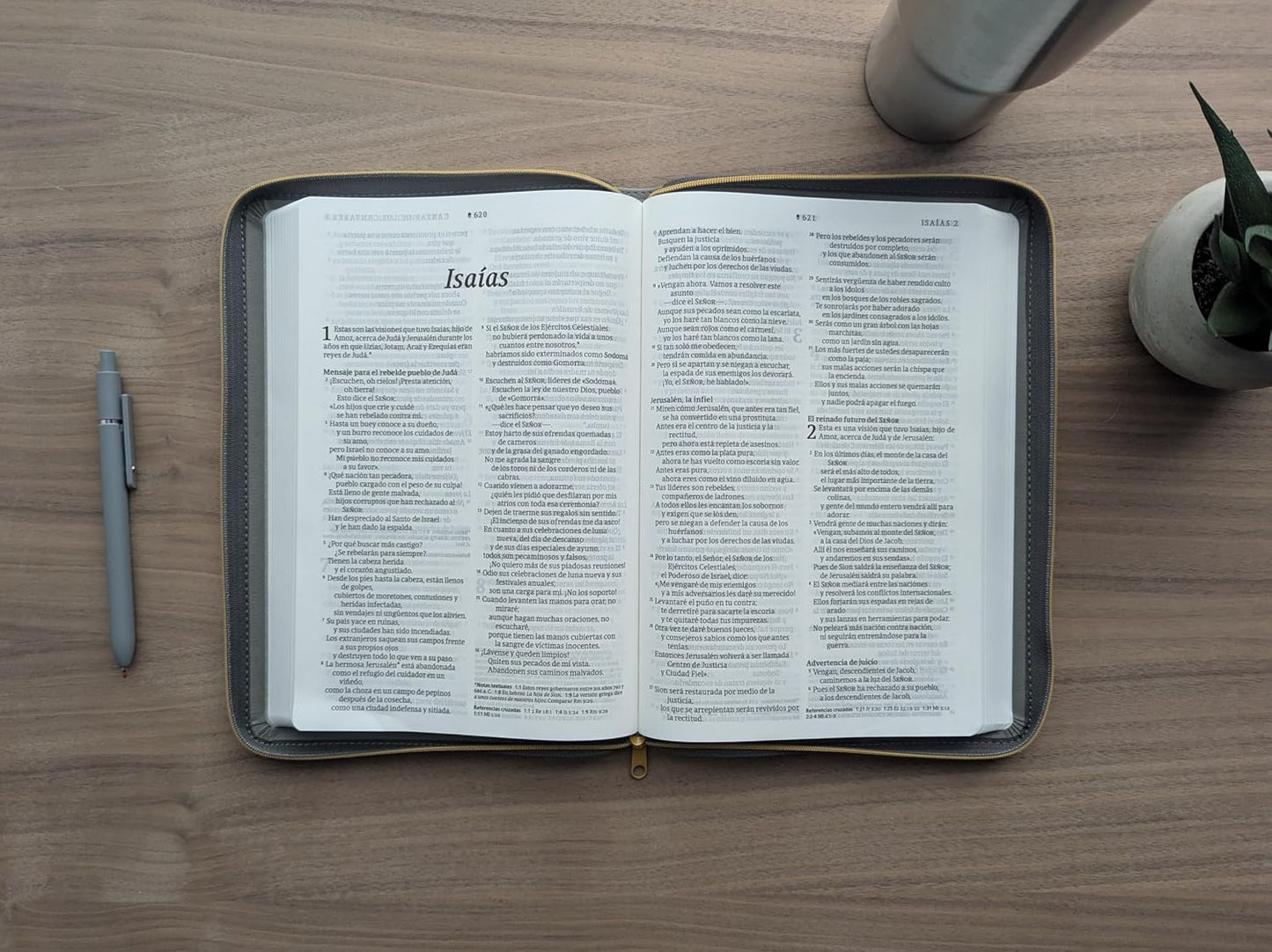 Biblia ultrafina | NTV | Letra grande | Zíper | Filament | SentiPiel gris | Letra roja
