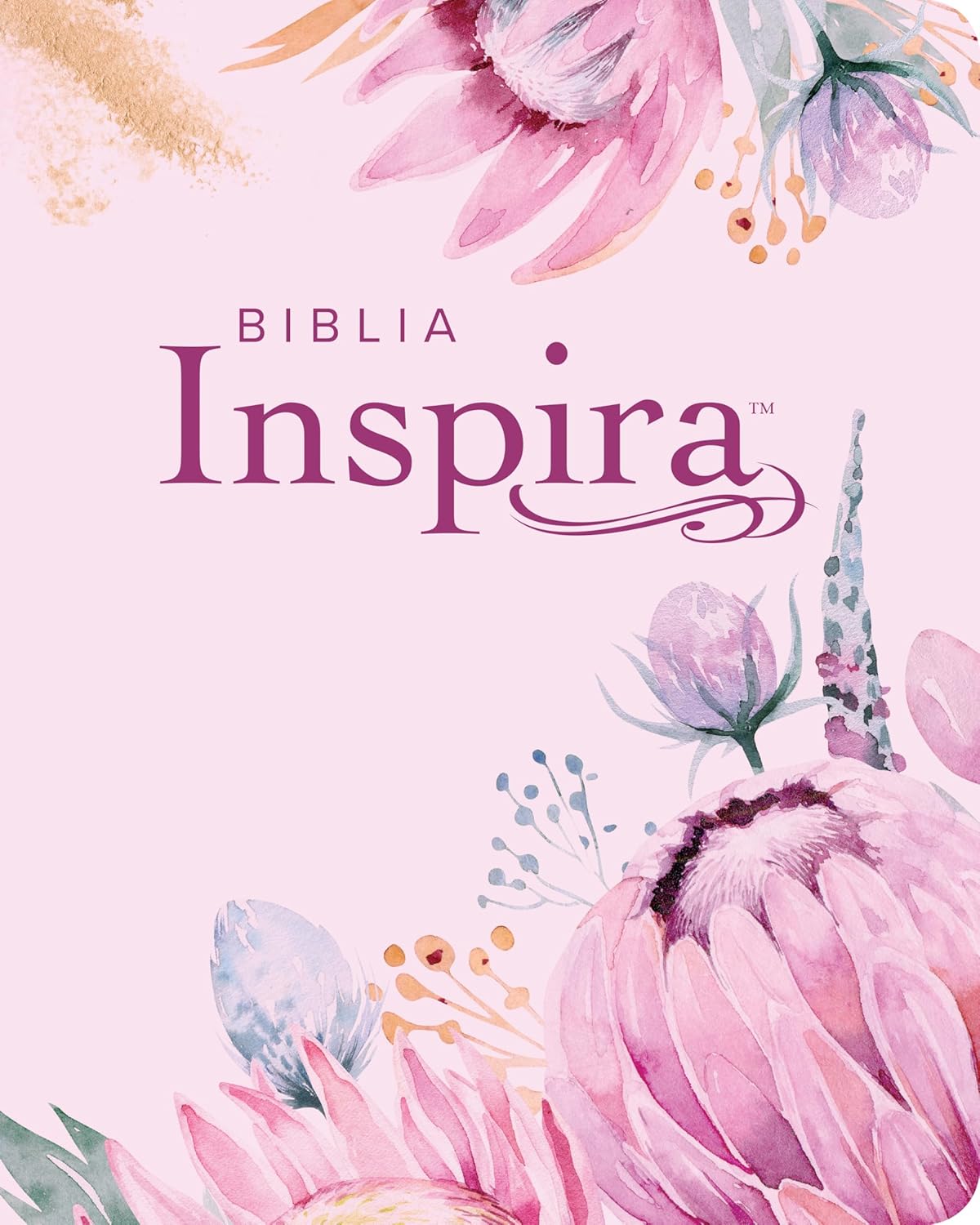 Biblia Inspira | NTV | Letra grande | Filament | SentiPiel primaveral