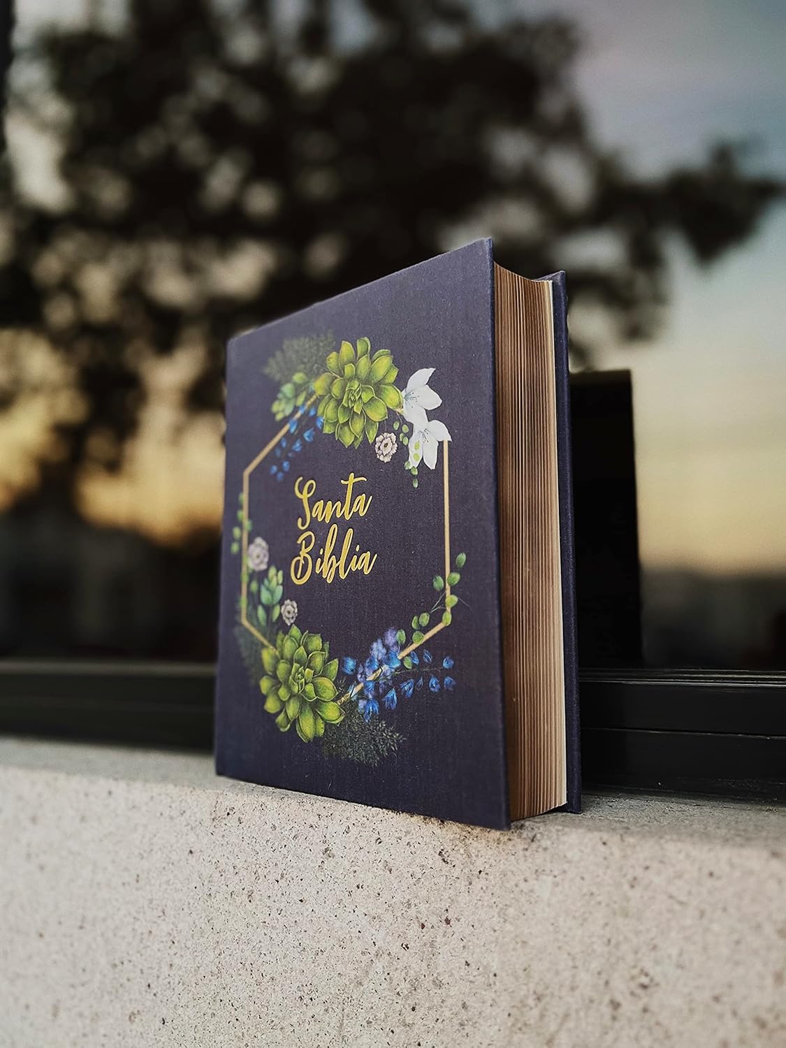 Santa Biblia | NVI | Edición Artística