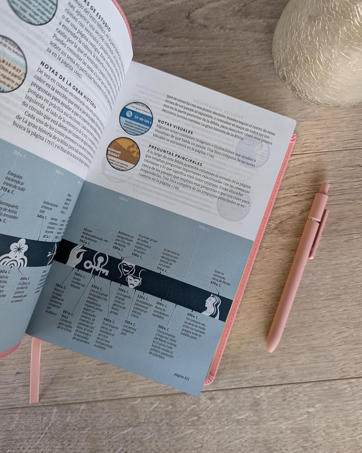 Biblia de Estudio del Diario Vivir para Jóvenes | NTV | Filament | SentiPiel rosa pastel