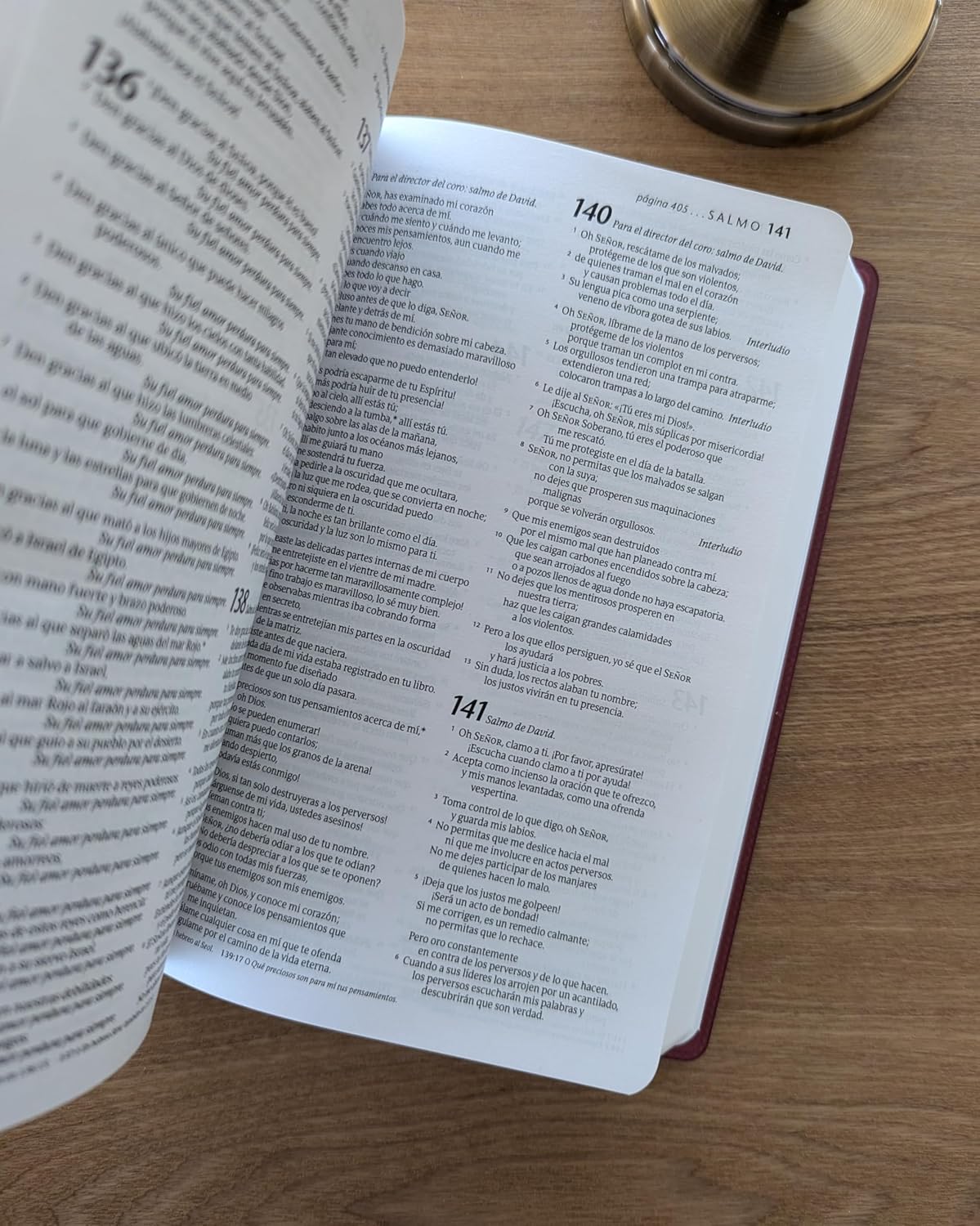 Biblia Sagrada | NTV | ViniPiel vino tinto | Letra roja | Español