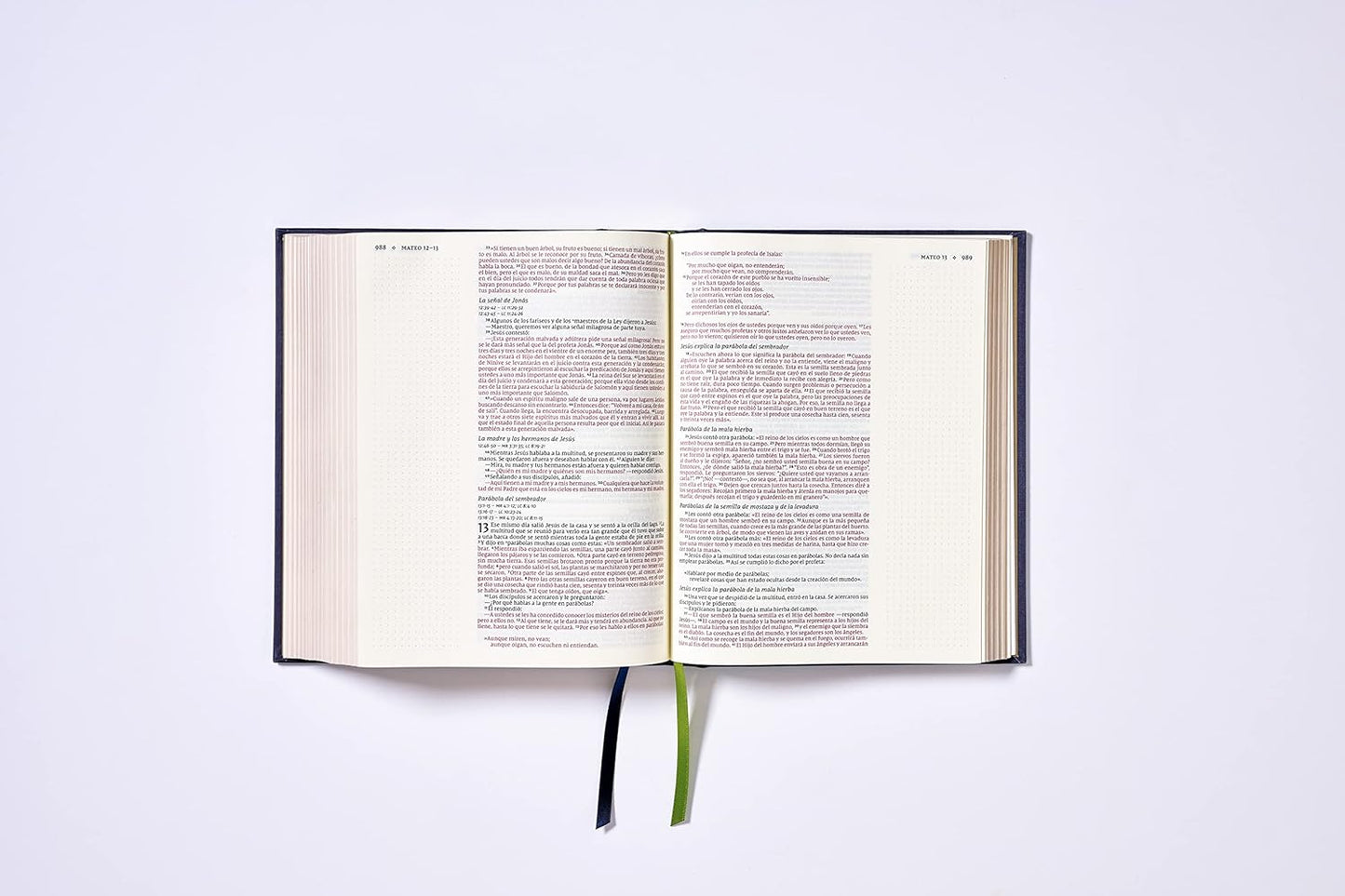 Santa Biblia | NVI | Edición Artística