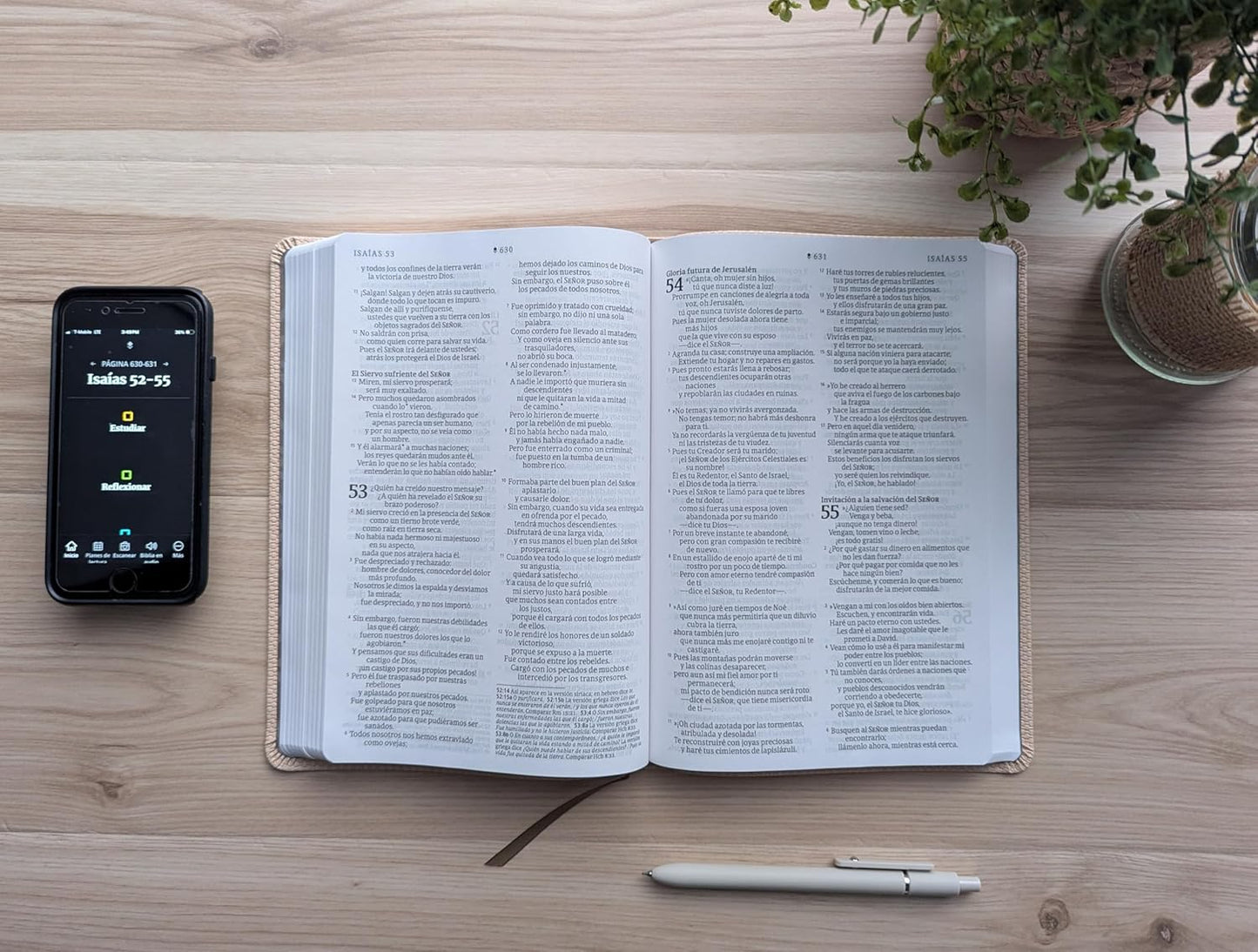 Biblia | NTV | Letra grande | Filament | SentiPiel café claro