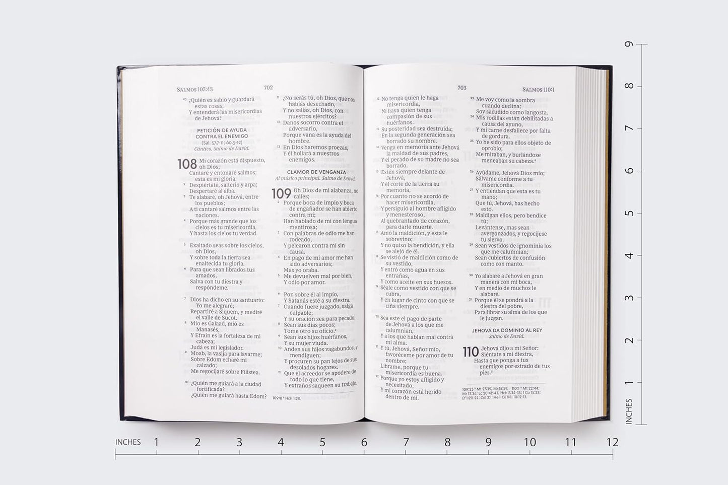 Biblia Sagrada | RVR 1960 | Tapa dura negra | Palabras de Jesús en rojo