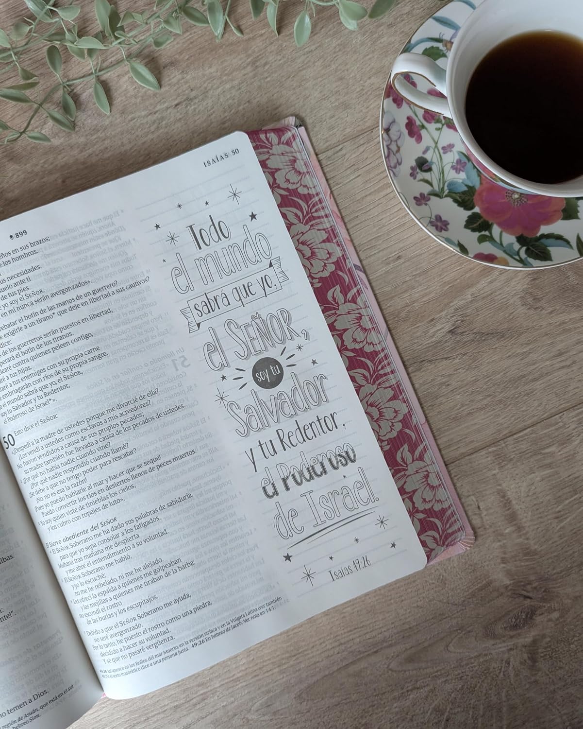 Biblia Inspira | NTV | Letra grande | Filament | SentiPiel primaveral