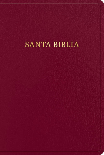 RVR 1960 Biblia Letra Gigante, Borgoña Imitación Piel