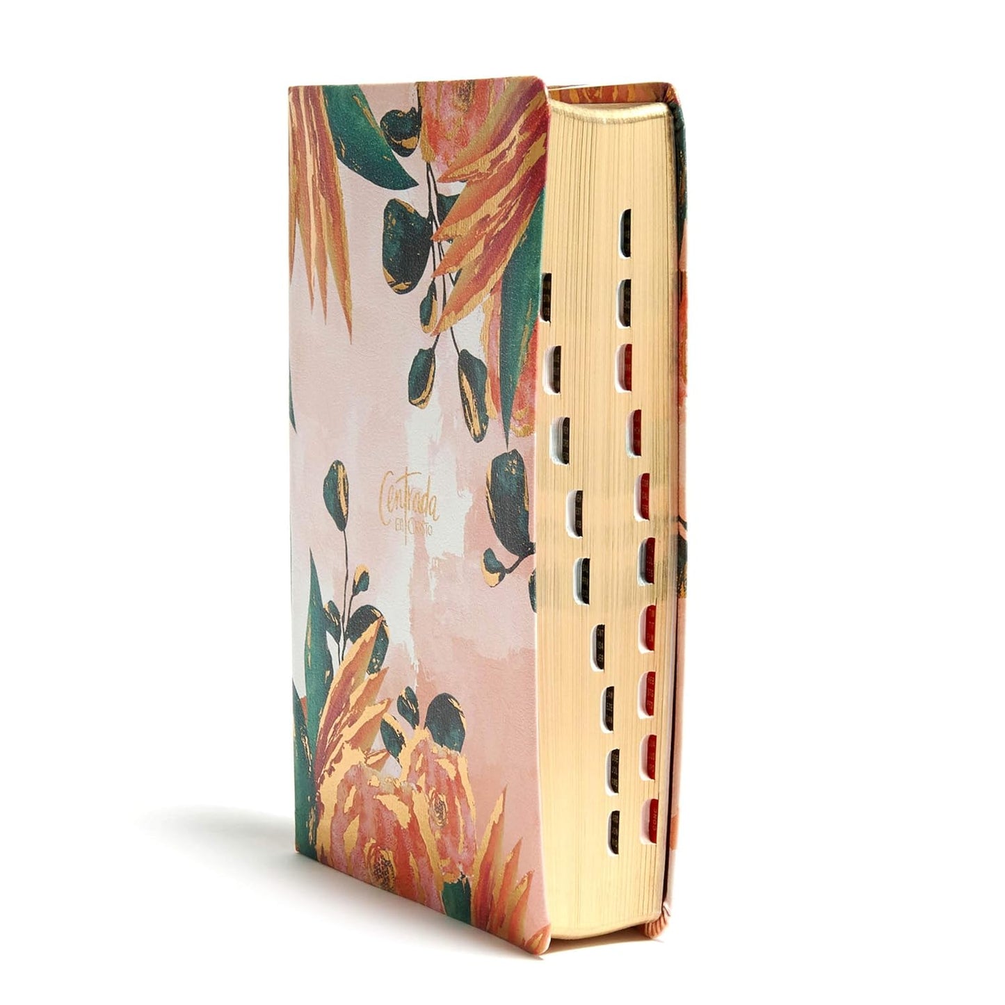 Biblia Devocional Centrada en Cristo | RVR 1960 | Floral símil piel con índice | 365 devocionales