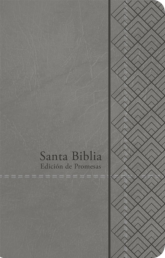 Santa Biblia de Promesas | RVR1960 | Letra Grande | Tamaño Manual con  Cierre  | Gris