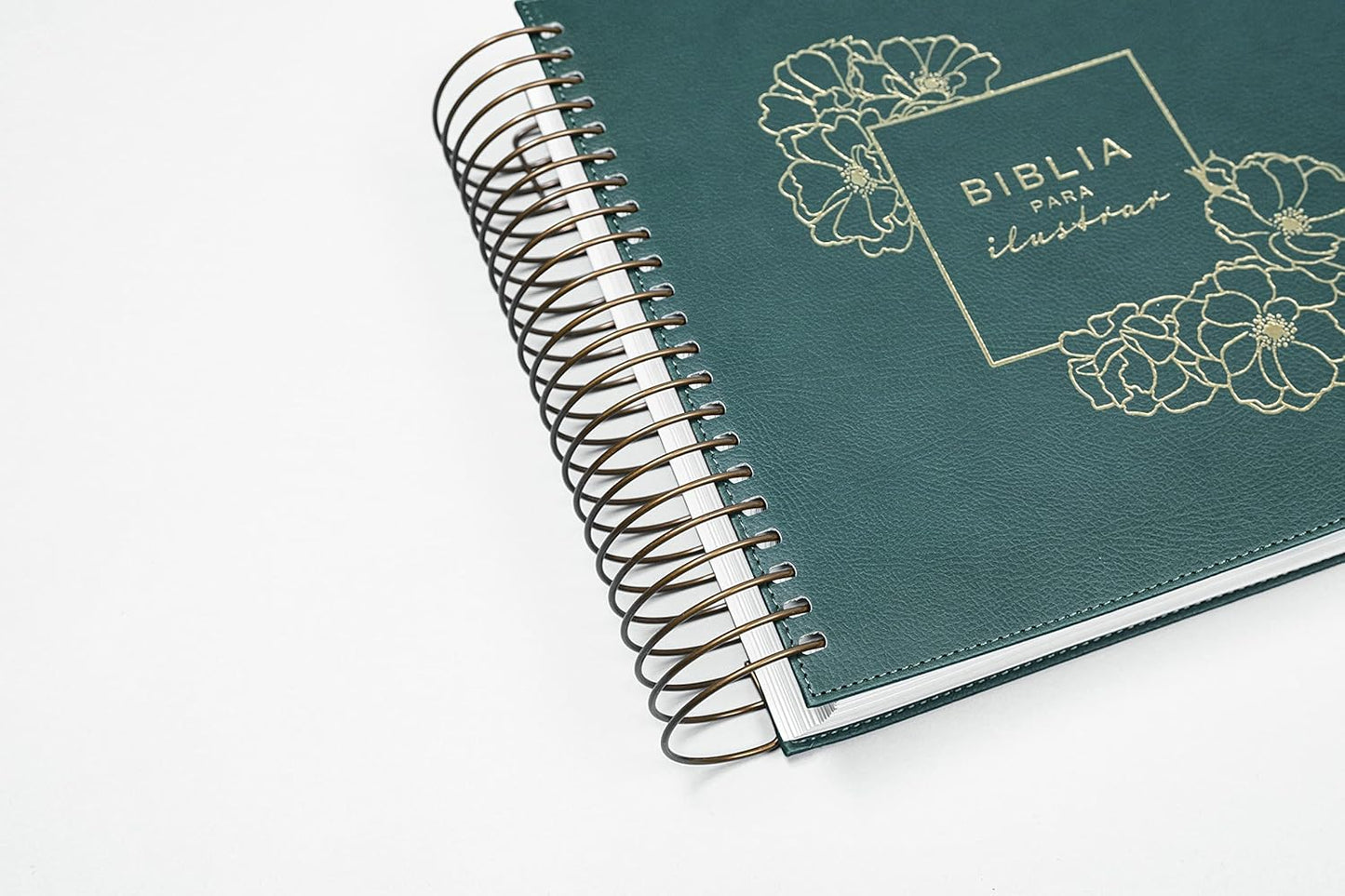 Biblia para ilustrar | Reina Valera 1960 | Símil piel verde | Margen creativo | Espiral metálico | Español