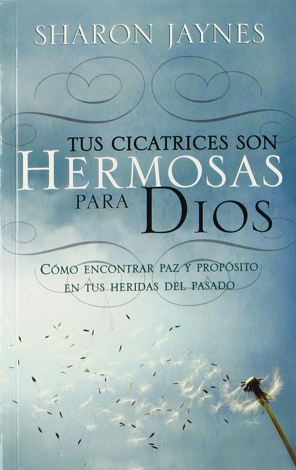 Tus Cicatrices son Hermosas para Dios | Sharon Jaynes