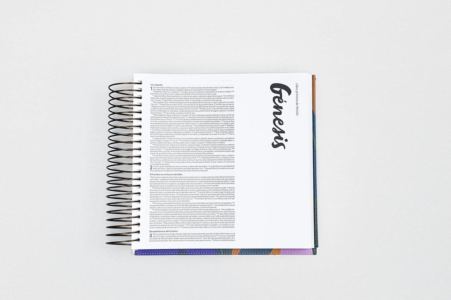 Biblia para ilustrar | Reina Valera 1960 | Símil piel floral | Margen creativo | Espiral metálico