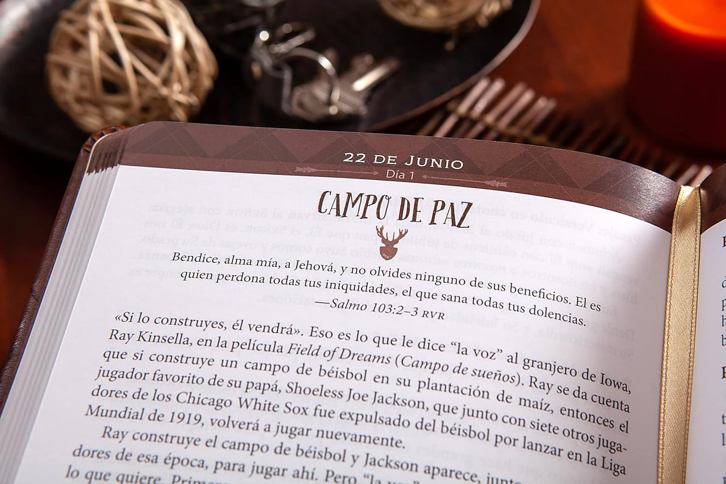 Fuerzas para cada día para el hombre: 365 días devocionario