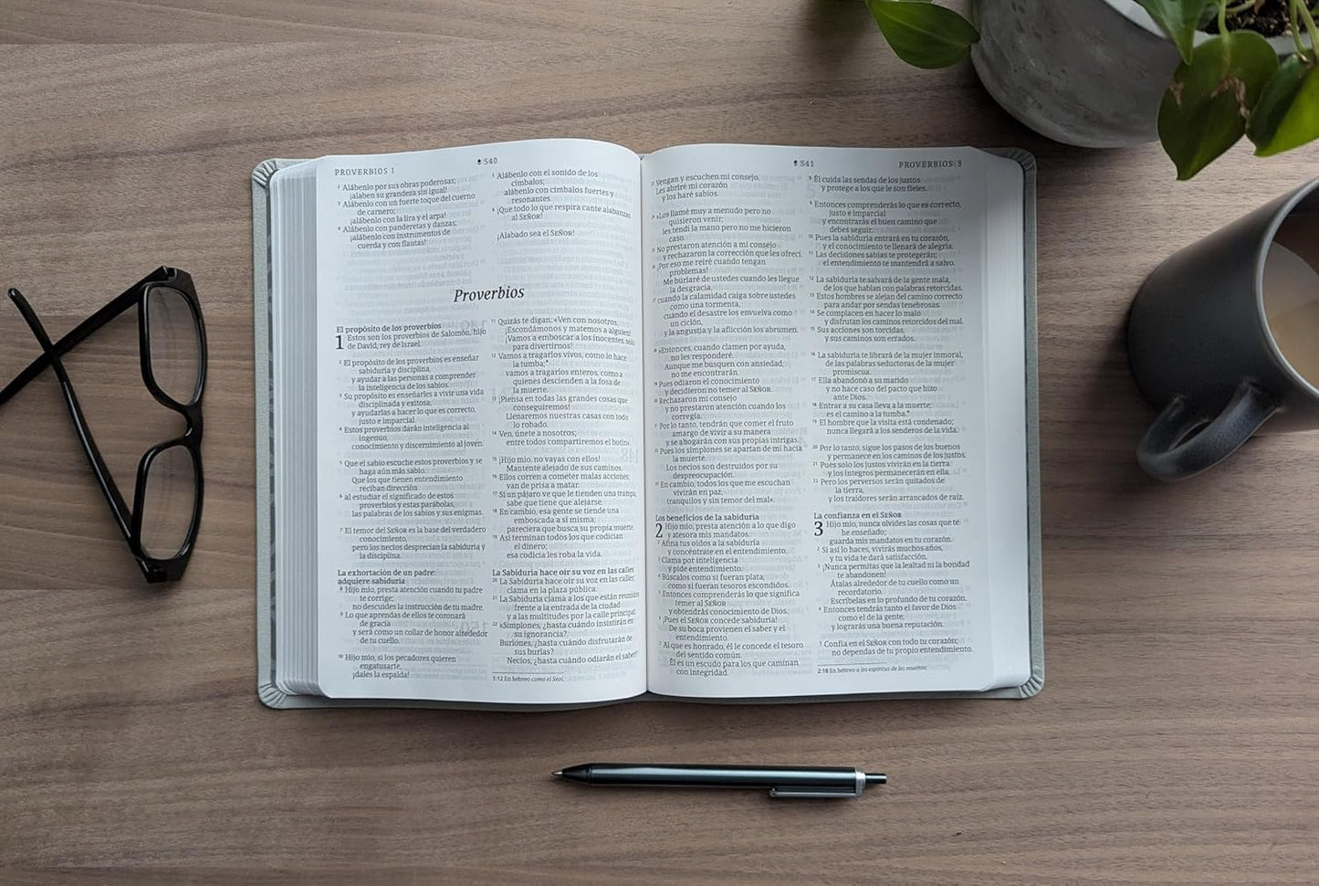 Biblia Valor Prémium | NTV | Letra grande | Filament | SentiPiel gris