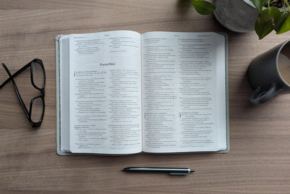 Biblia Valor Prémium | NTV | Letra grande | Filament | SentiPiel gris