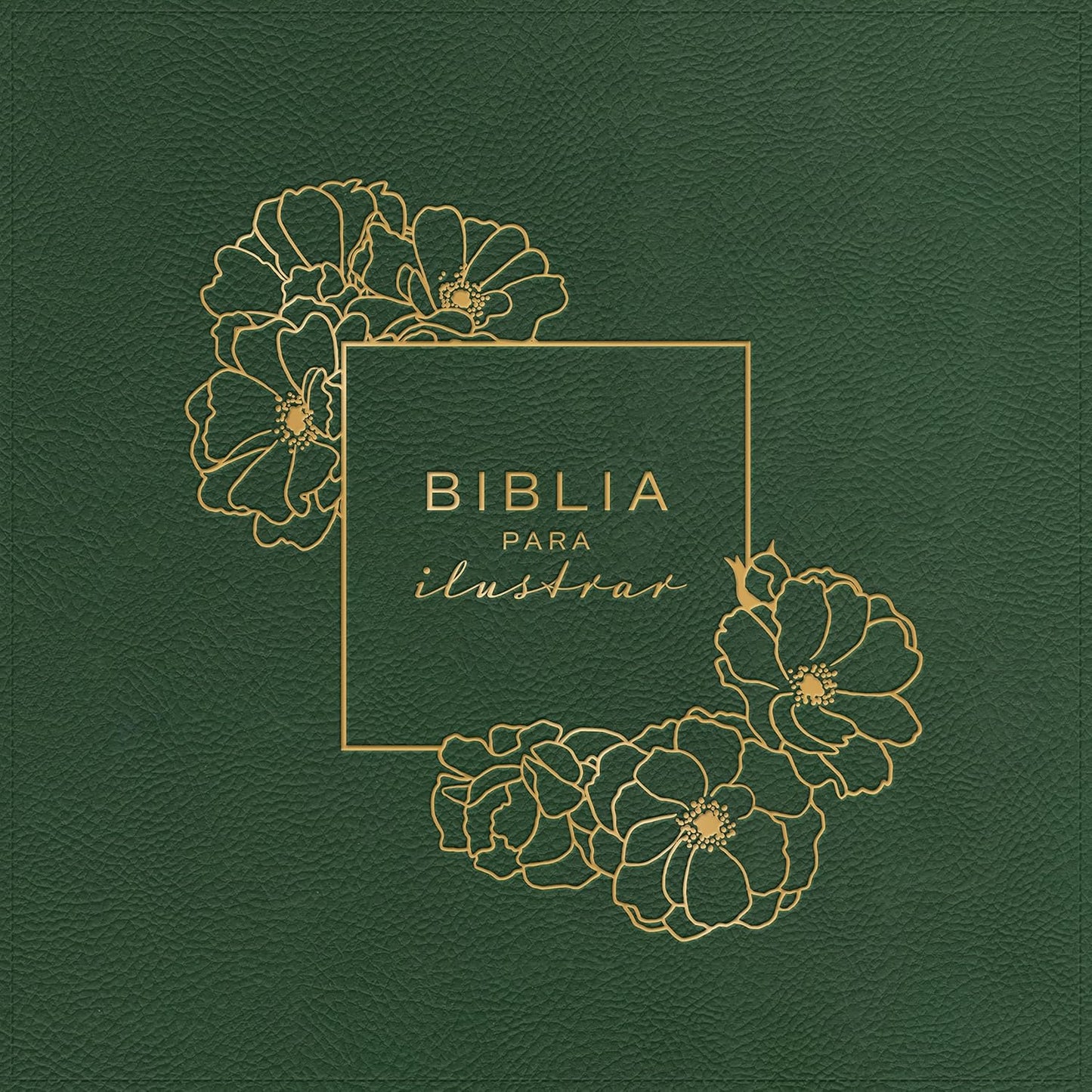 Biblia para ilustrar | Reina Valera 1960 | Símil piel verde | Margen creativo | Espiral metálico | Español