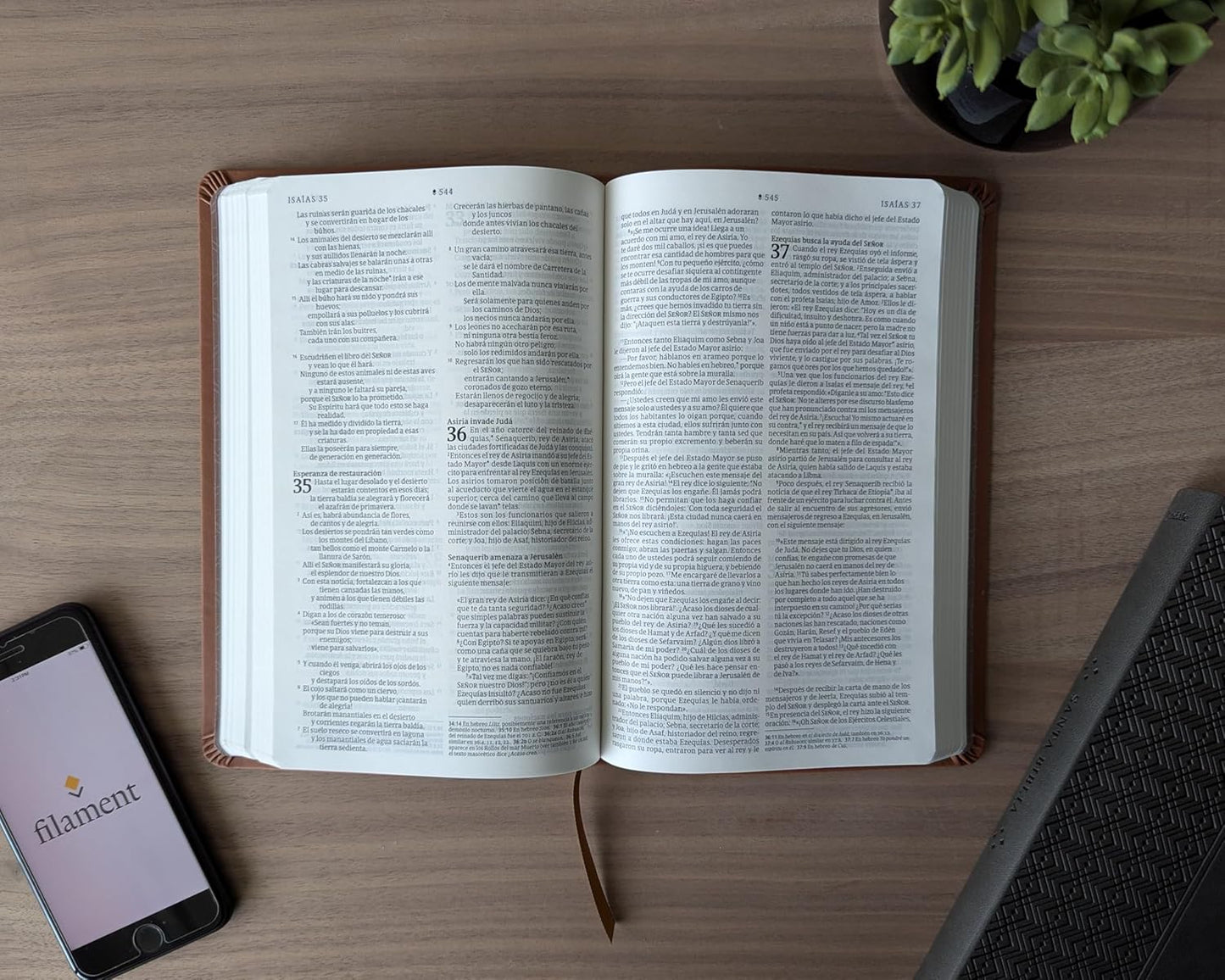 Biblia | NTV | Filament | SentiPiel café