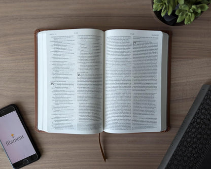 Biblia | NTV | Filament | SentiPiel café