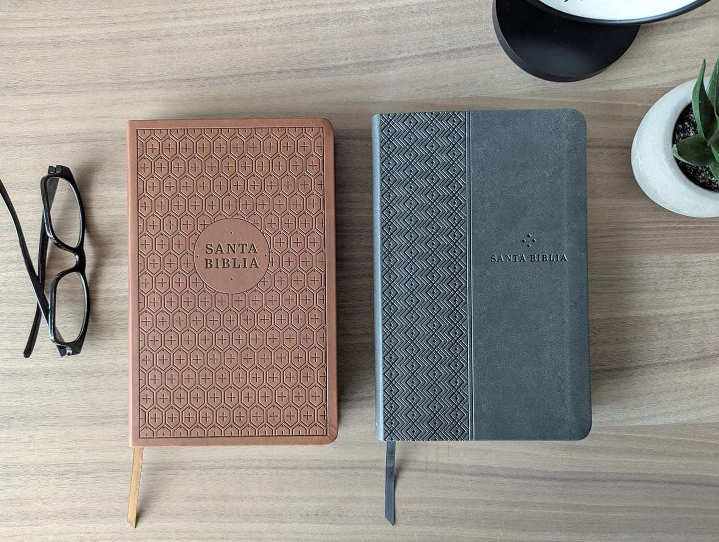 Biblia | NTV | Filament | SentiPiel café
