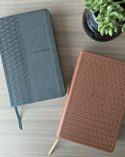 Biblia | NTV | Filament | SentiPiel gris