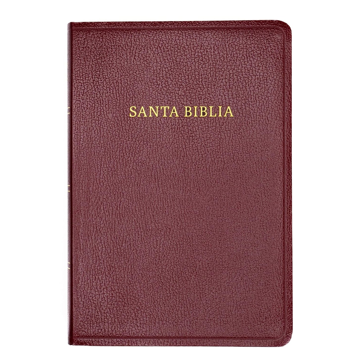 RVR 1960 Biblia Letra Gigante, Borgoña Imitación Piel