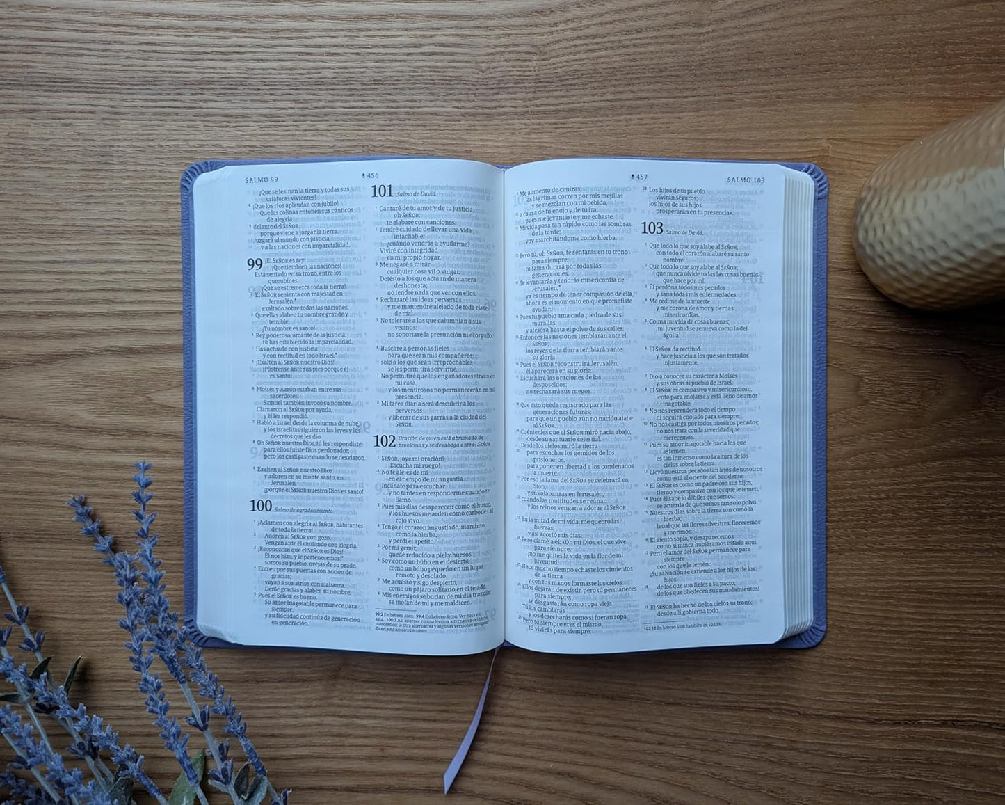 Biblia | NTV | Filament | SentiPiel morado