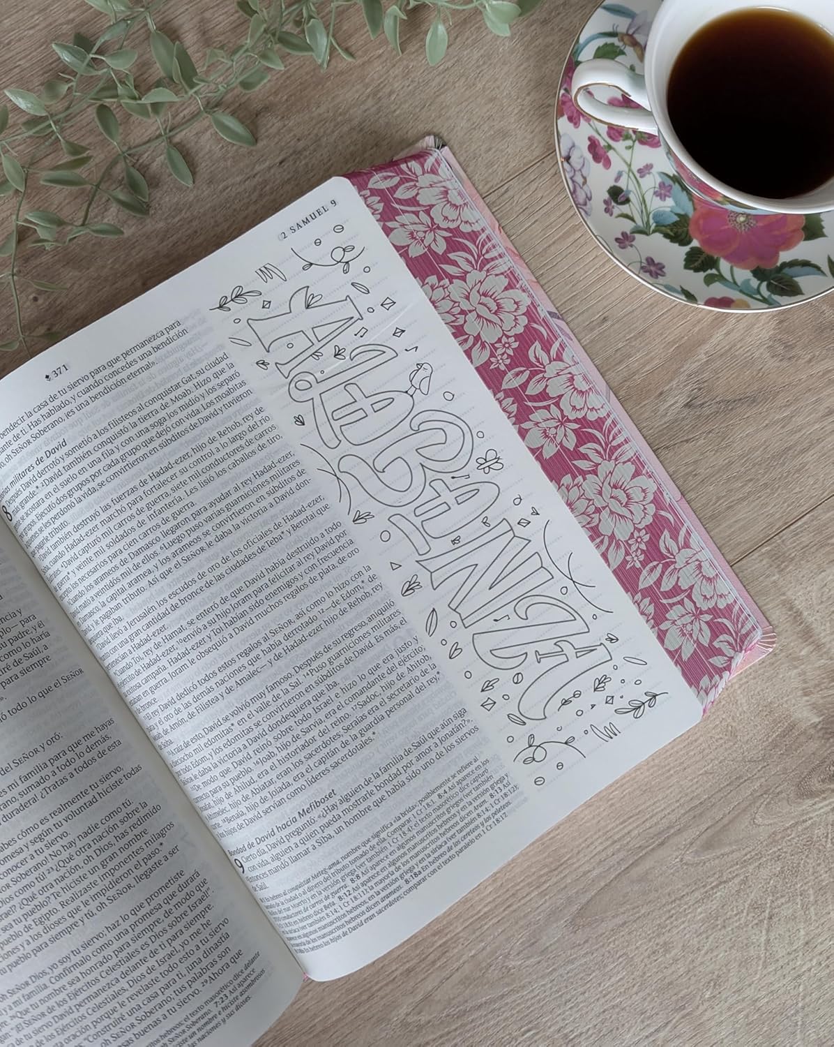 Biblia Inspira | NTV | Letra grande | Filament | SentiPiel primaveral