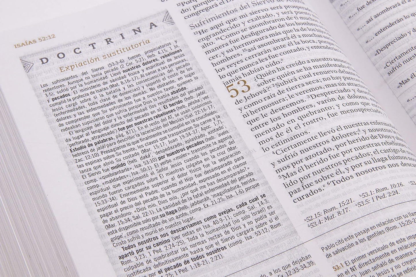 Biblia de Estudio para Mujeres | RVR 1960 | Tela azul floreada