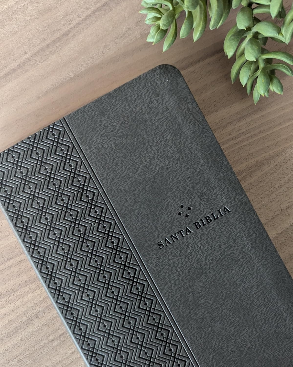 Biblia | NTV | Filament | SentiPiel gris