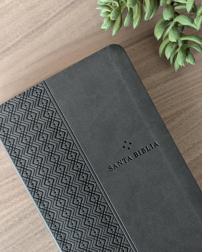 Biblia | NTV | Filament | SentiPiel gris