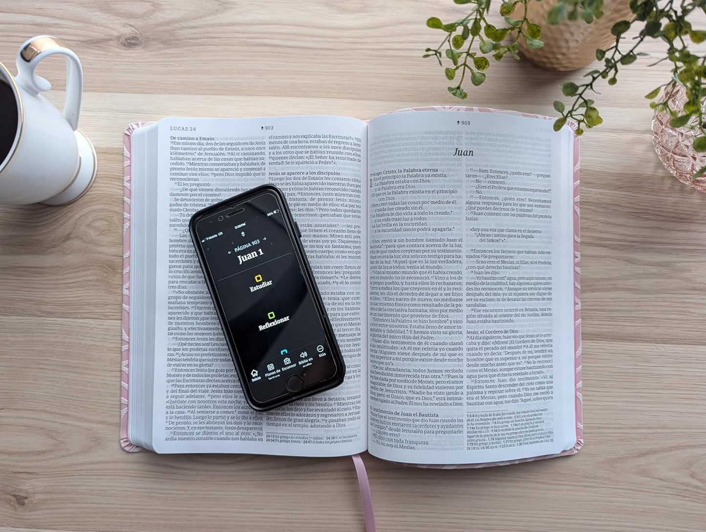 Biblia | NTV | Letra grande | Filament | SentiPiel rosa