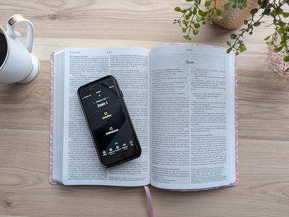 Biblia | NTV | Letra grande | Filament | SentiPiel rosa