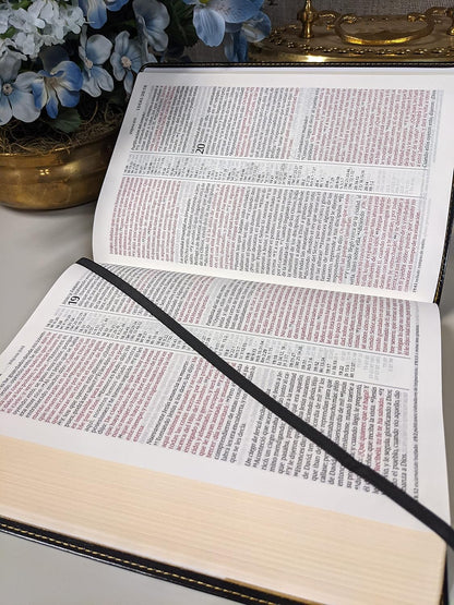 Santa Biblia | RVR 1960 | Ultrafina | Letra grande | Negra | Edición de referencia