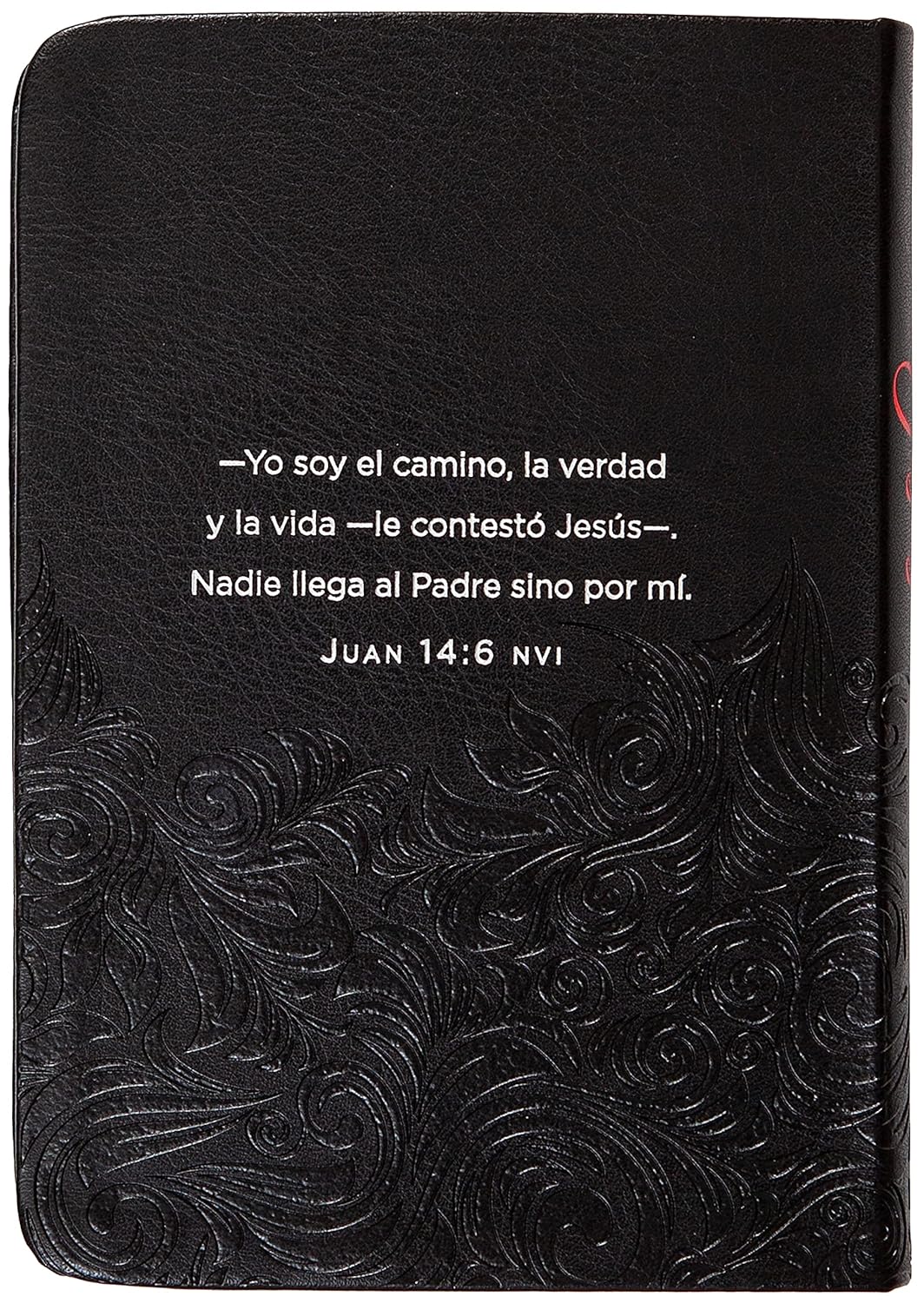 Jesús en rojo | Ray Comfort – 365 meditaciones sobre las palabras de Jesús