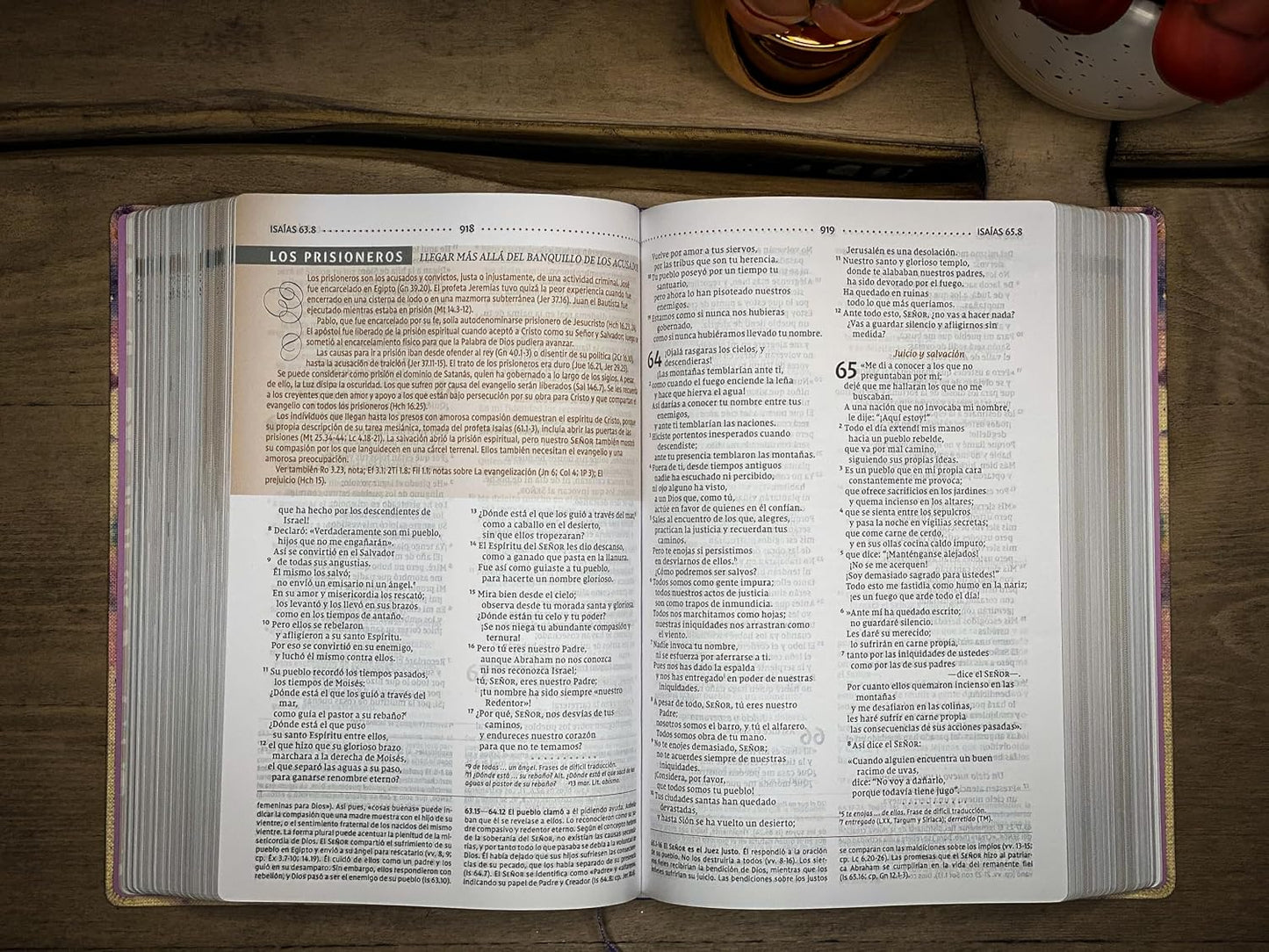 Biblia de Estudio para la Mujer | NVI | Leathersoft y tela lila | Comfort Print