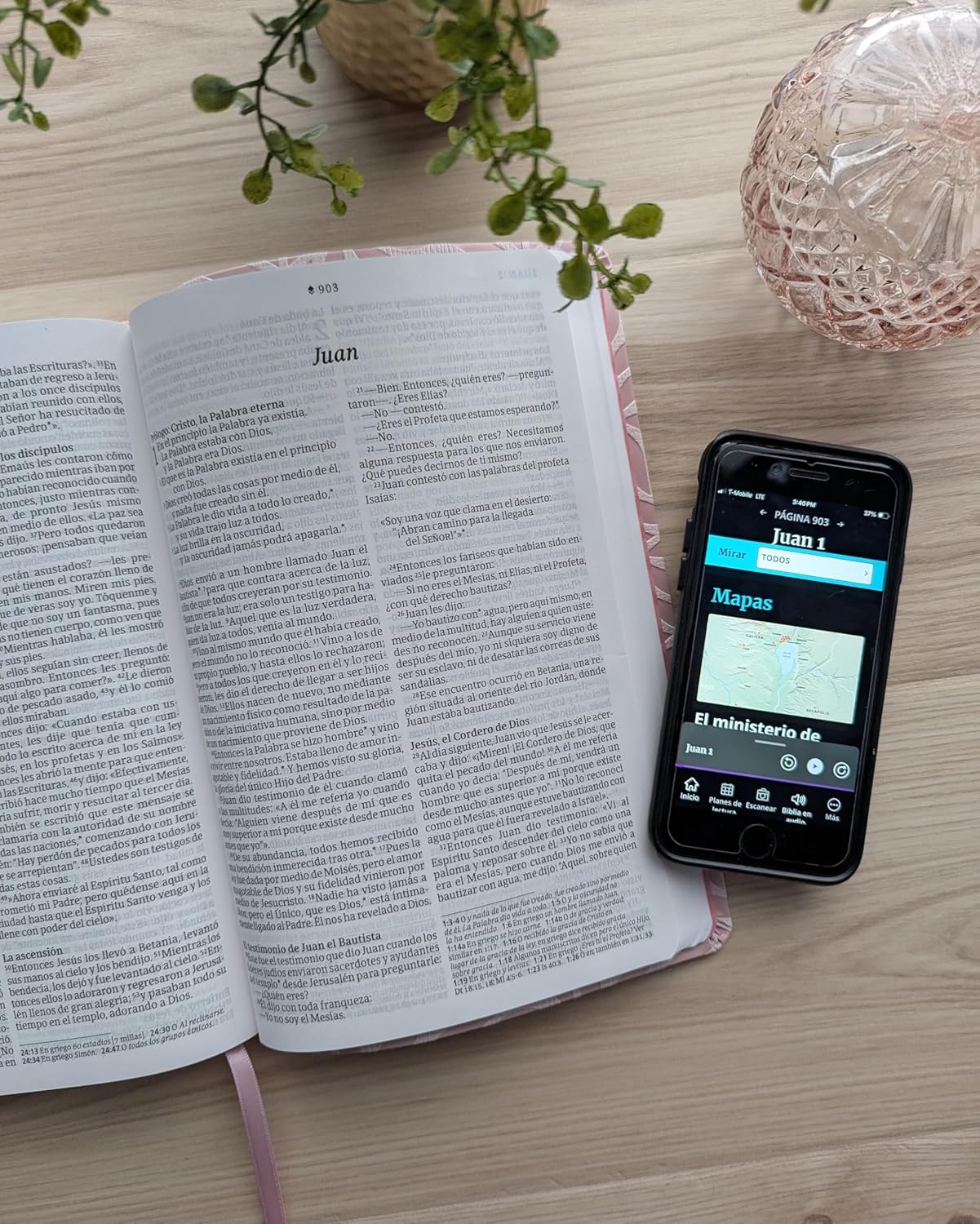 Biblia | NTV | Letra grande | Filament | SentiPiel rosa