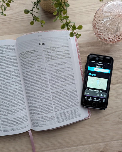 Biblia | NTV | Letra grande | Filament | SentiPiel rosa