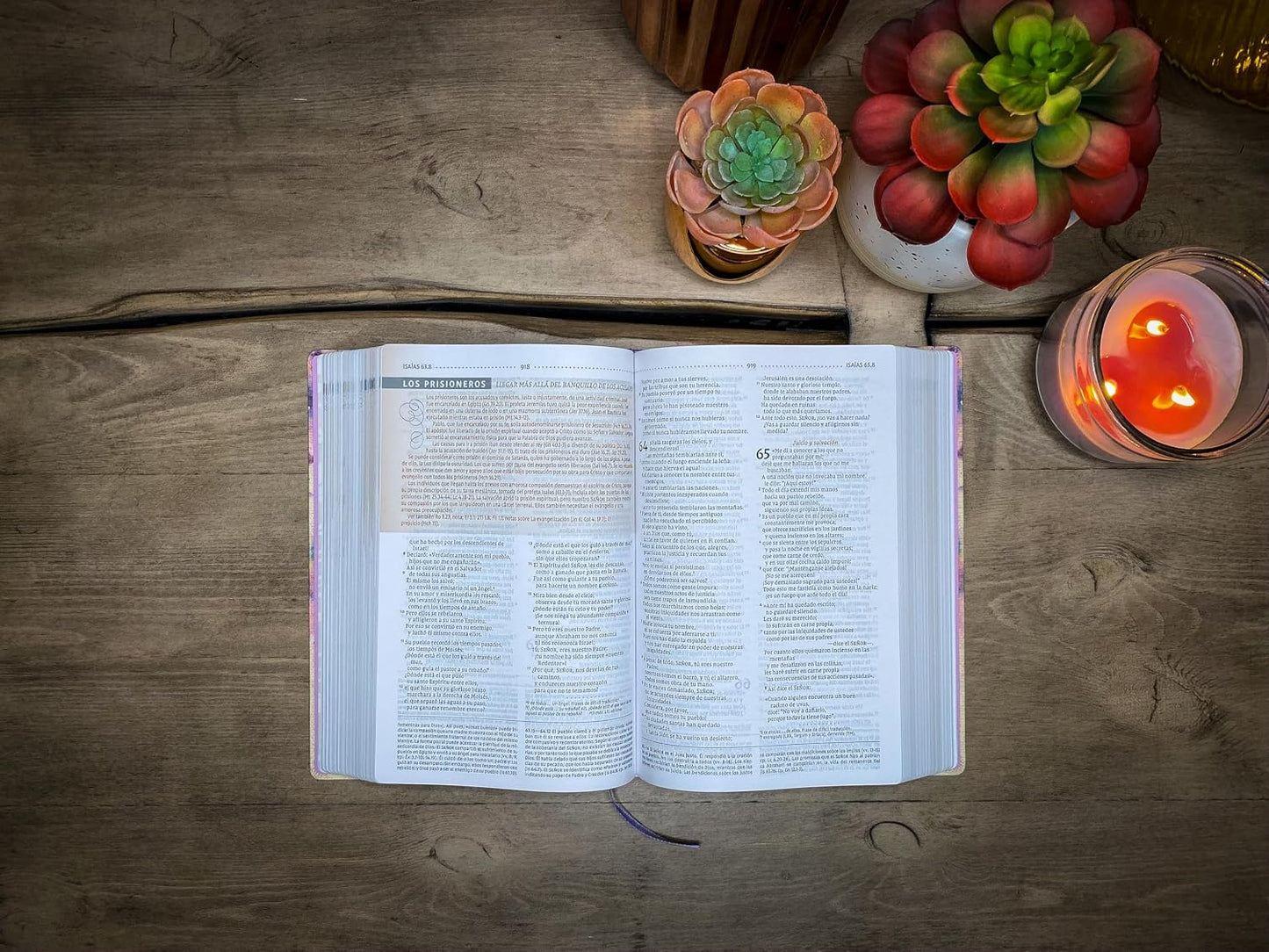 Biblia de Estudio para la Mujer | NVI | Leathersoft y tela lila | Comfort Print