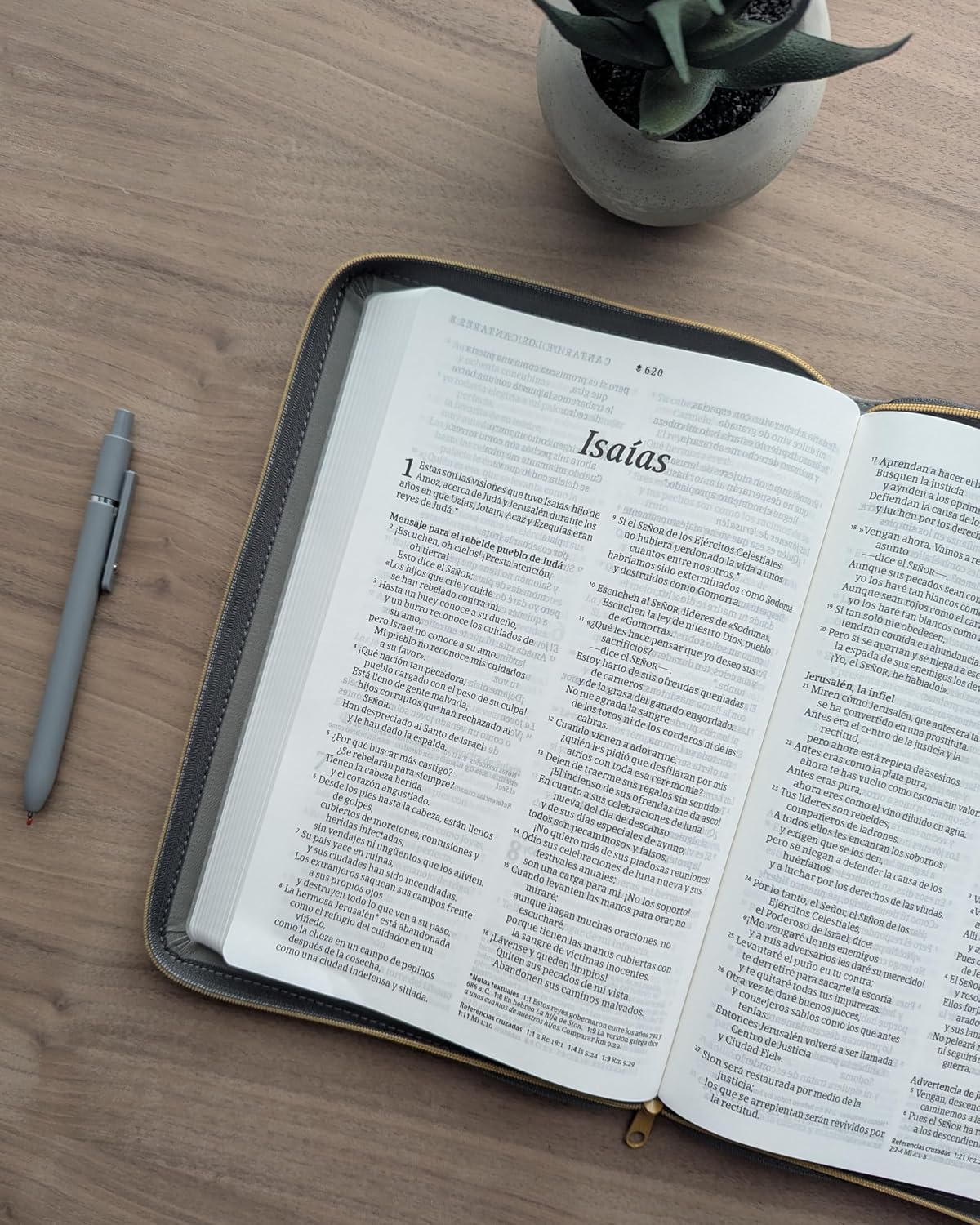 Biblia ultrafina | NTV | Letra grande | Zíper | Filament | SentiPiel gris | Letra roja
