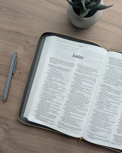 Biblia ultrafina | NTV | Letra grande | Zíper | Filament | SentiPiel gris | Letra roja