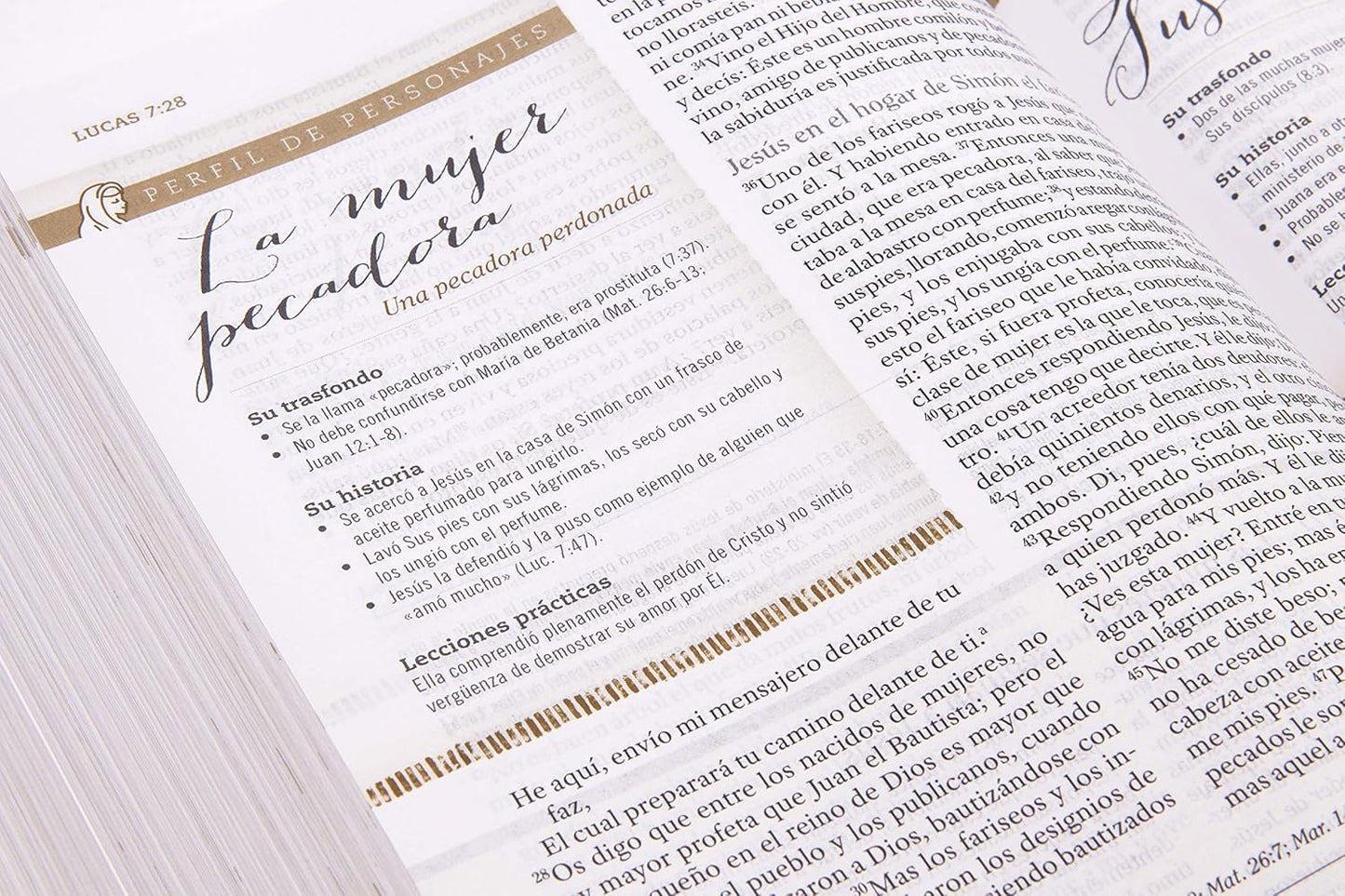 Biblia de Estudio para Mujeres | RVR 1960 | Tela azul floreada