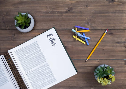 Biblia para ilustrar | Reina Valera 1960 | Símil piel verde | Margen creativo | Espiral metálico | Español