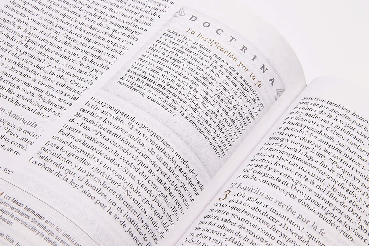 Biblia de Estudio para Mujeres | RVR 1960 | Tela azul floreada