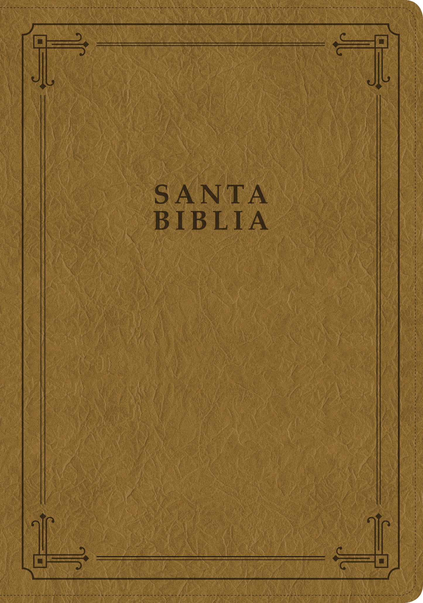 Santa Biblia | NTV | Ultrafina | Letra grande