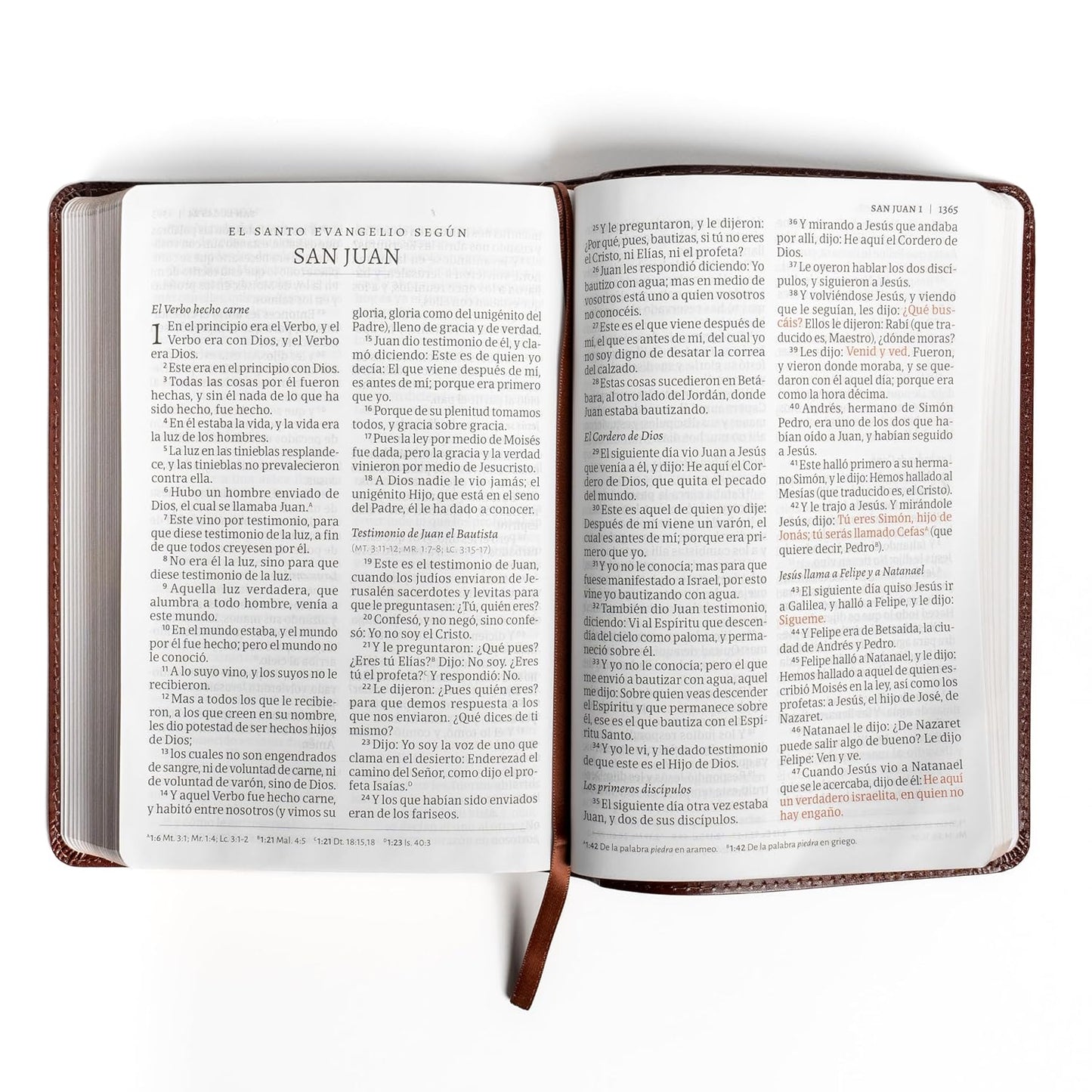 Biblia Reina Valera 1960 | Letra gigante | Piel fabricada café