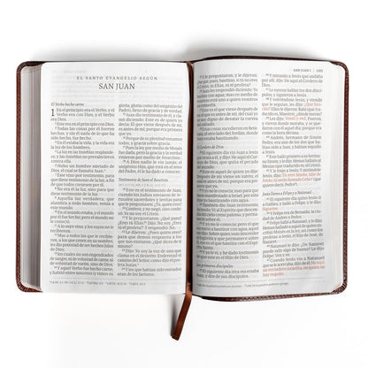 Biblia Reina Valera 1960 | Letra gigante | Piel fabricada café