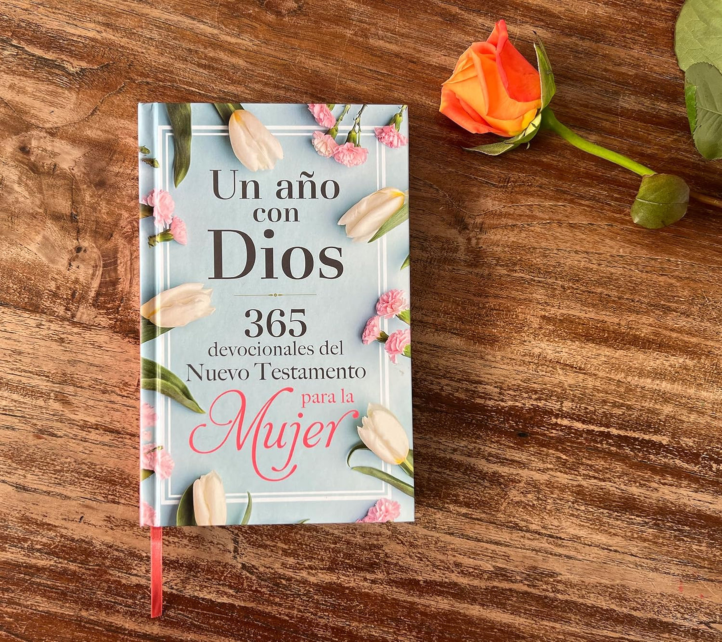 Un año con Dios en el Nuevo Testamento | 365 devocionales para la mujer