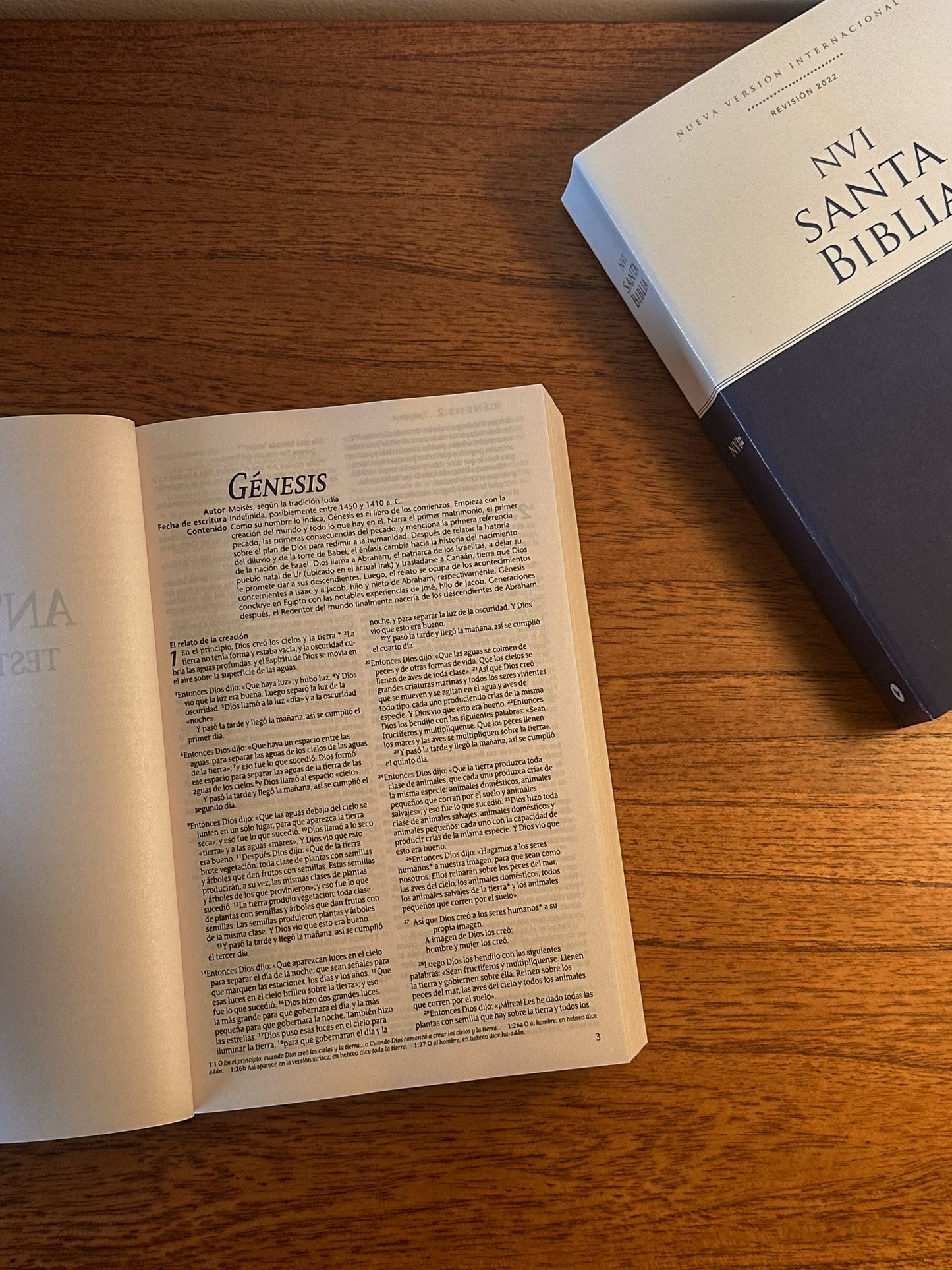 Biblia completa | NTV | Diseño Ñandutí | Edición limitada