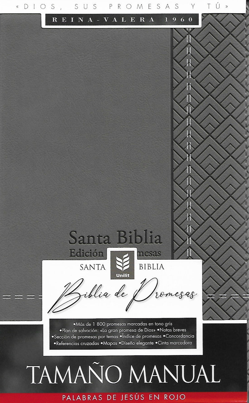 Santa Biblia de Promesas | RVR1960 | Letra Grande | Tamaño Manual con  Cierre  | Gris