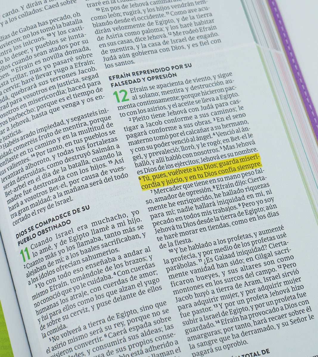 Biblia para Niños Exploradores | RVR 1960 | Lavanda | Ilustrada a color | Letra 9.5 pts | Símil piel