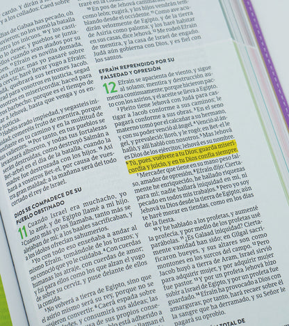 Biblia para Niños Exploradores | RVR 1960 | Lavanda | Ilustrada a color | Letra 9.5 pts | Símil piel